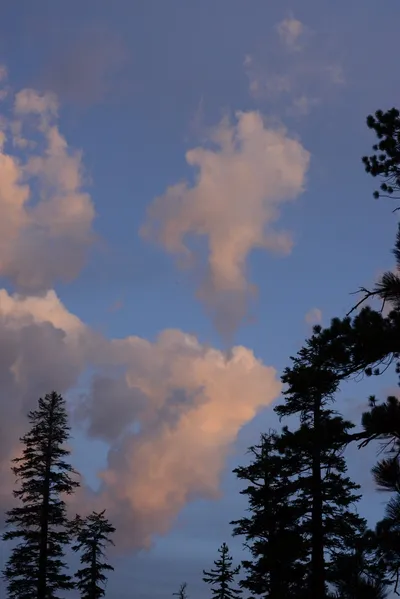 DSC_3040 (Large).JPG